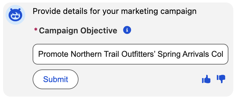 Enter campaign objective in agent