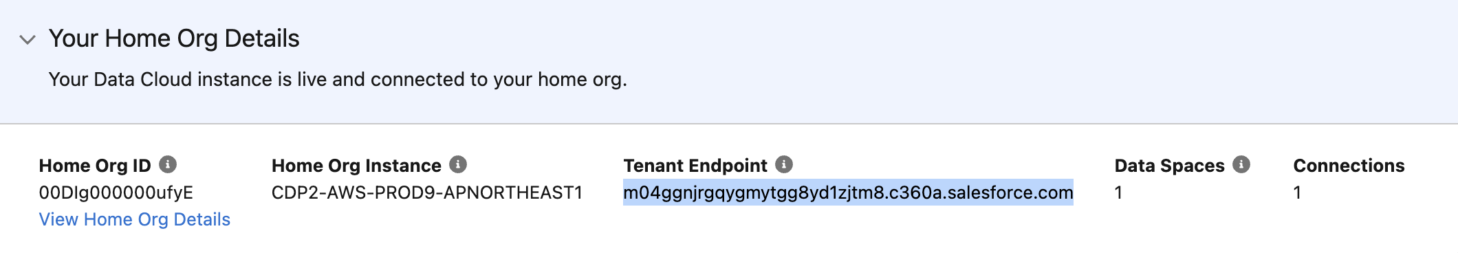 Tenant Endpoint in Data Cloud Setup