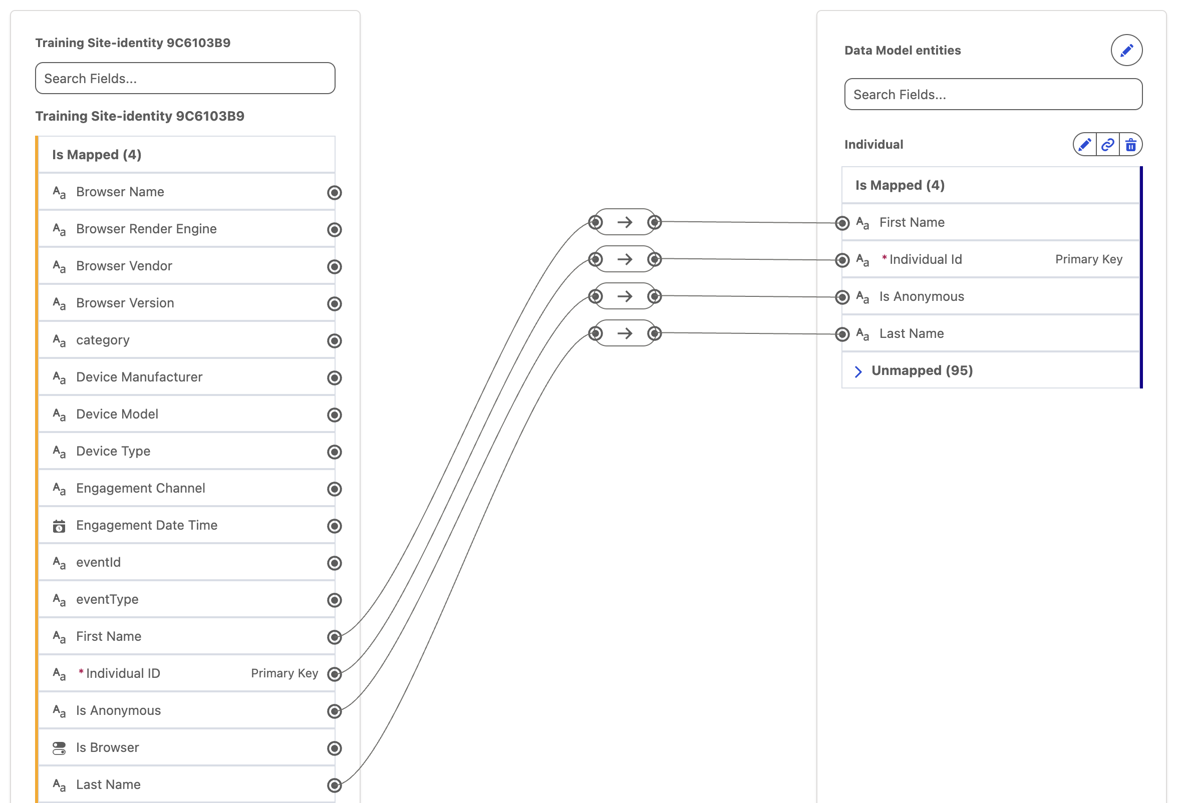 Identity attribute mapping from DLO to Individual DMO in a data stream
