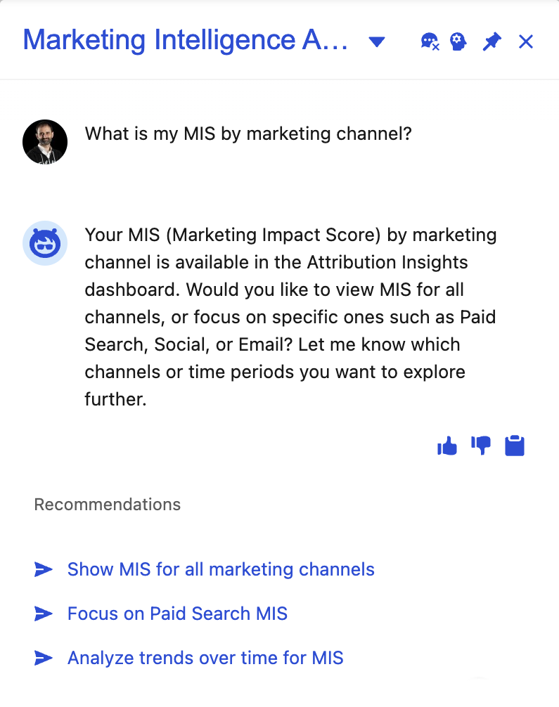 Response for prompt 'What is my MIS by marketing channel?'
