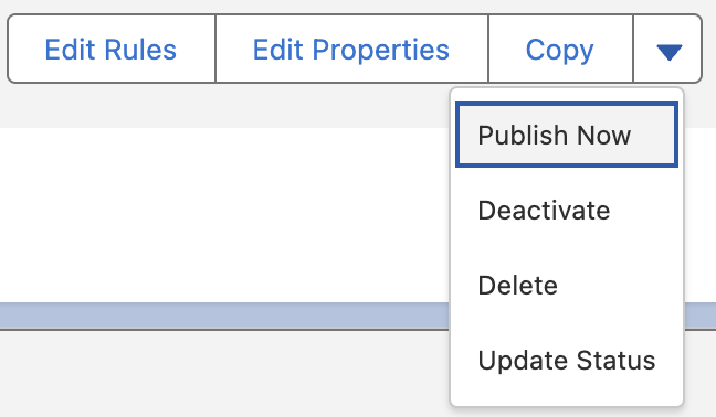 Publish Now button on Segment page