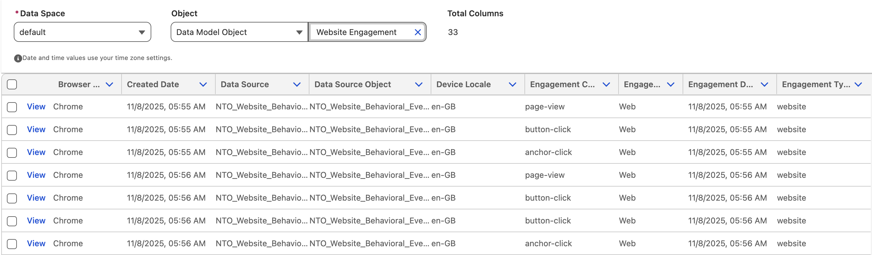 Website Engagement DMO records in Data Explorer