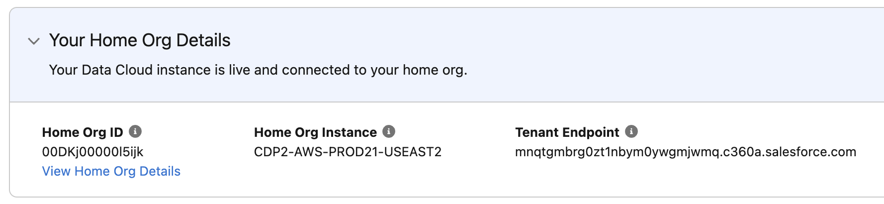 Home org details displayed on Data Cloud Setup Home page